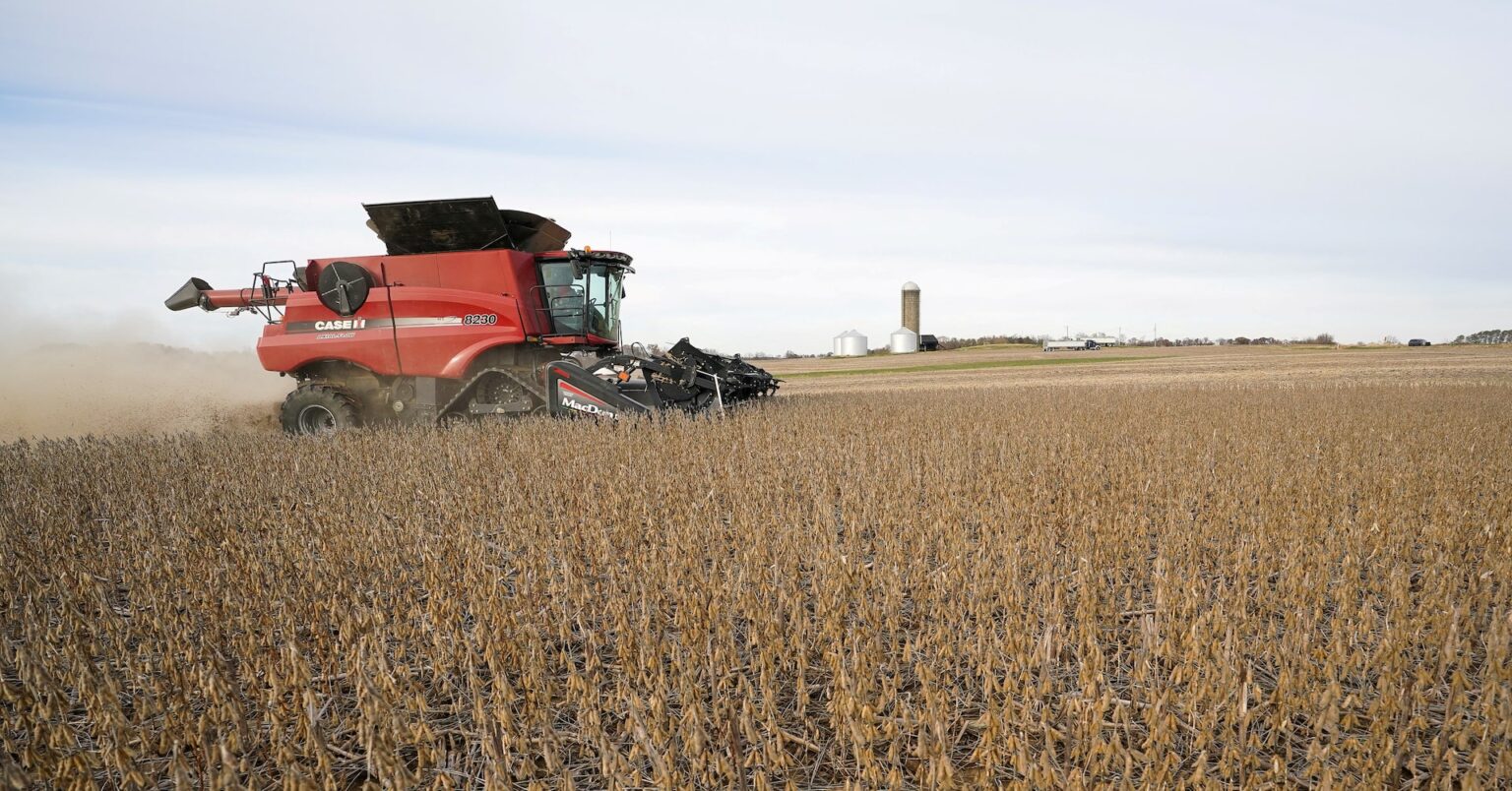 農家が米中貿易摩擦の代償負うべきでない、有望な協力分野と中国大使 | ロイター