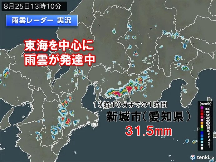 東海地方を中心に発達した雨雲や雷雲