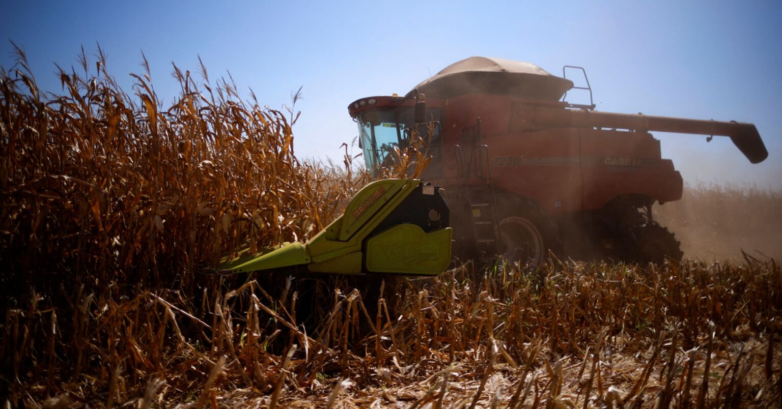 ブラジル経済活動指数、6月は前月比0.1％低下　農業部門が押し下げ | ロイター