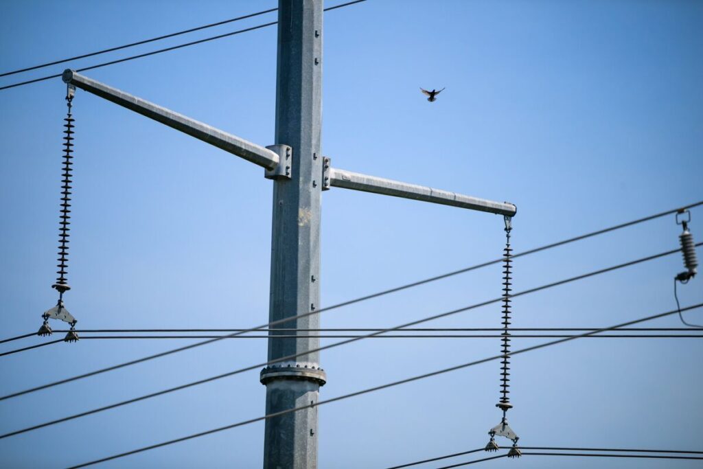 電気代の高騰、米選挙の争点に浮上－トランプ氏の再生エネ敵視も裏目 - Bloomberg