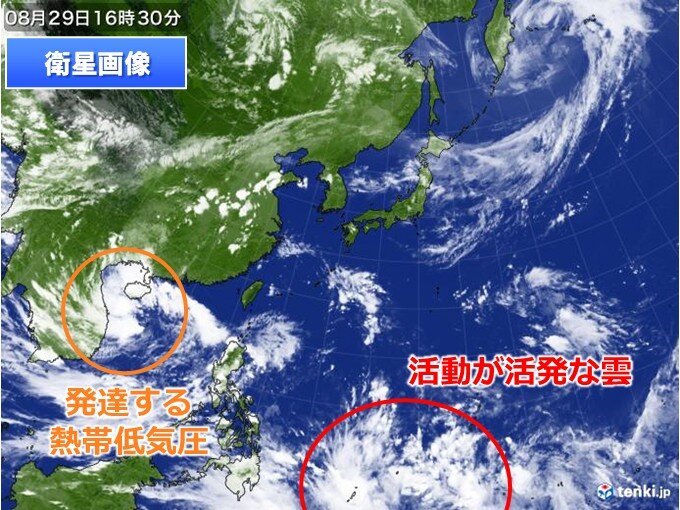 明日30日にも新たな台風発生　日本に影響なし　来週後半は別の熱帯じょう乱が北上か