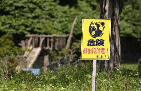 ハンター責任「通常、問われず」 環境省が回答と北海道知事 | 全国のニュース | 福井新聞ONLINE