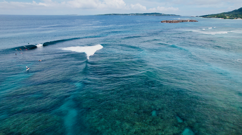 スクリーンショット 2025-08-02 8.34.33