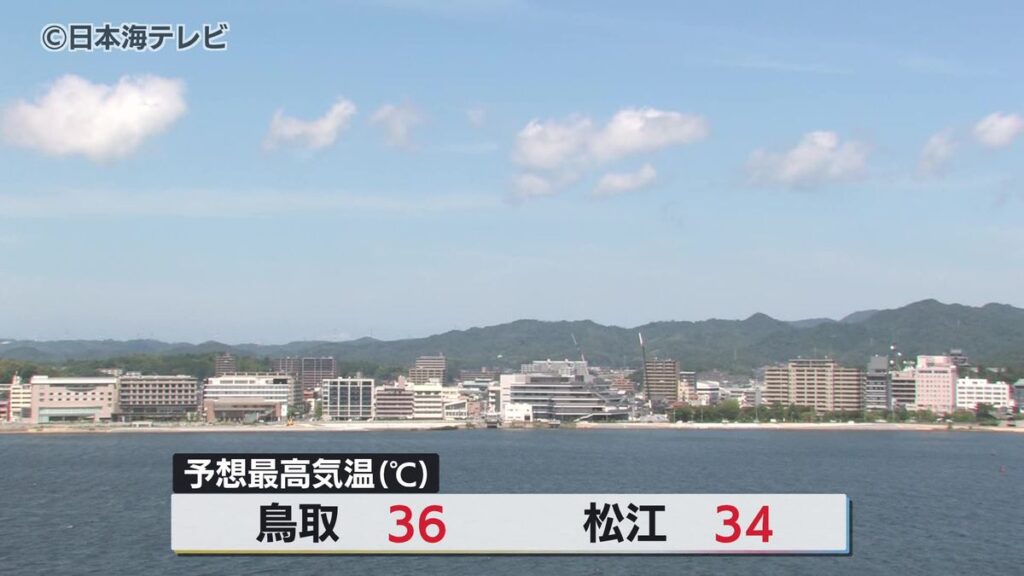 共有