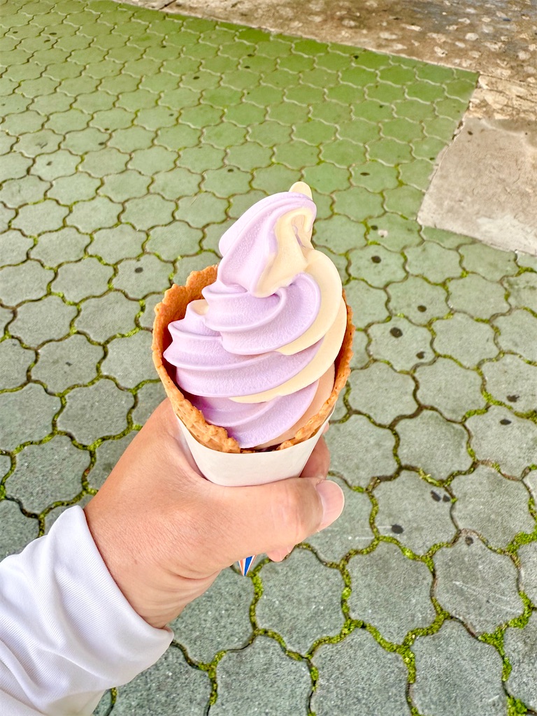 f:id:yokohamamiuken:20250725093004j:image f:id:yokohamamiuken:20250725093004j:image