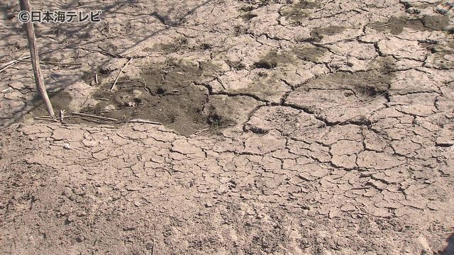 日野川の水量減少で25％の取水制限 農業被害に鳥取県が支援へ 市町村と連携し用水供給のためのポンプや土のうの購入費用を補助 鳥取県鳥取市（日本海テレビ） - Yahoo!ニュース - Yahoo!ニュース