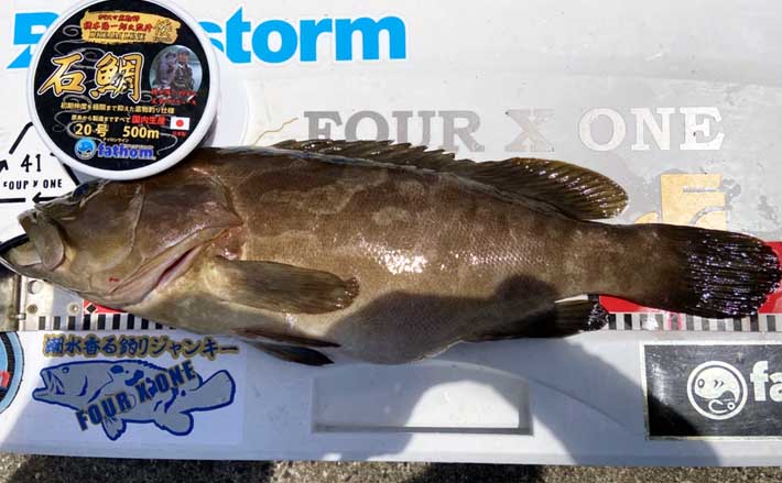 大物釣りで有名な離島でクエをキャッチ!【山口・見島】食い込まないアタリに苦戦 | TSURINEWS 大物釣りで有名な離島でクエをキャッチ!【山口・見島】食い込まないアタリに苦戦