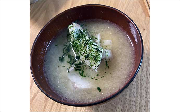 大物釣りで有名な離島でクエをキャッチ！【山口・見島】食い込まないアタリに苦戦