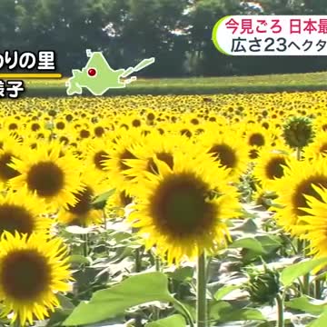 【北海道の天気 1日(金)】週末はモクモク入道雲…オホーツク海側は雷雨も！お祭りや行楽は天気の急変に気を付けて（北海道ニュースUHB） - Yahoo!ニュース - Yahoo!ニュース