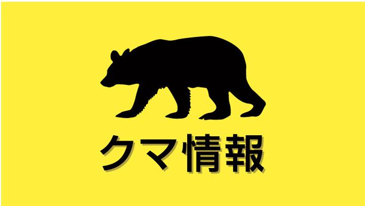 【続報】山口市の中国道で車とクマが衝突 クマは体長160センチ 運転手は手首にけが（中国新聞デジタル） - Yahoo!ニュース - Yahoo!ニュース