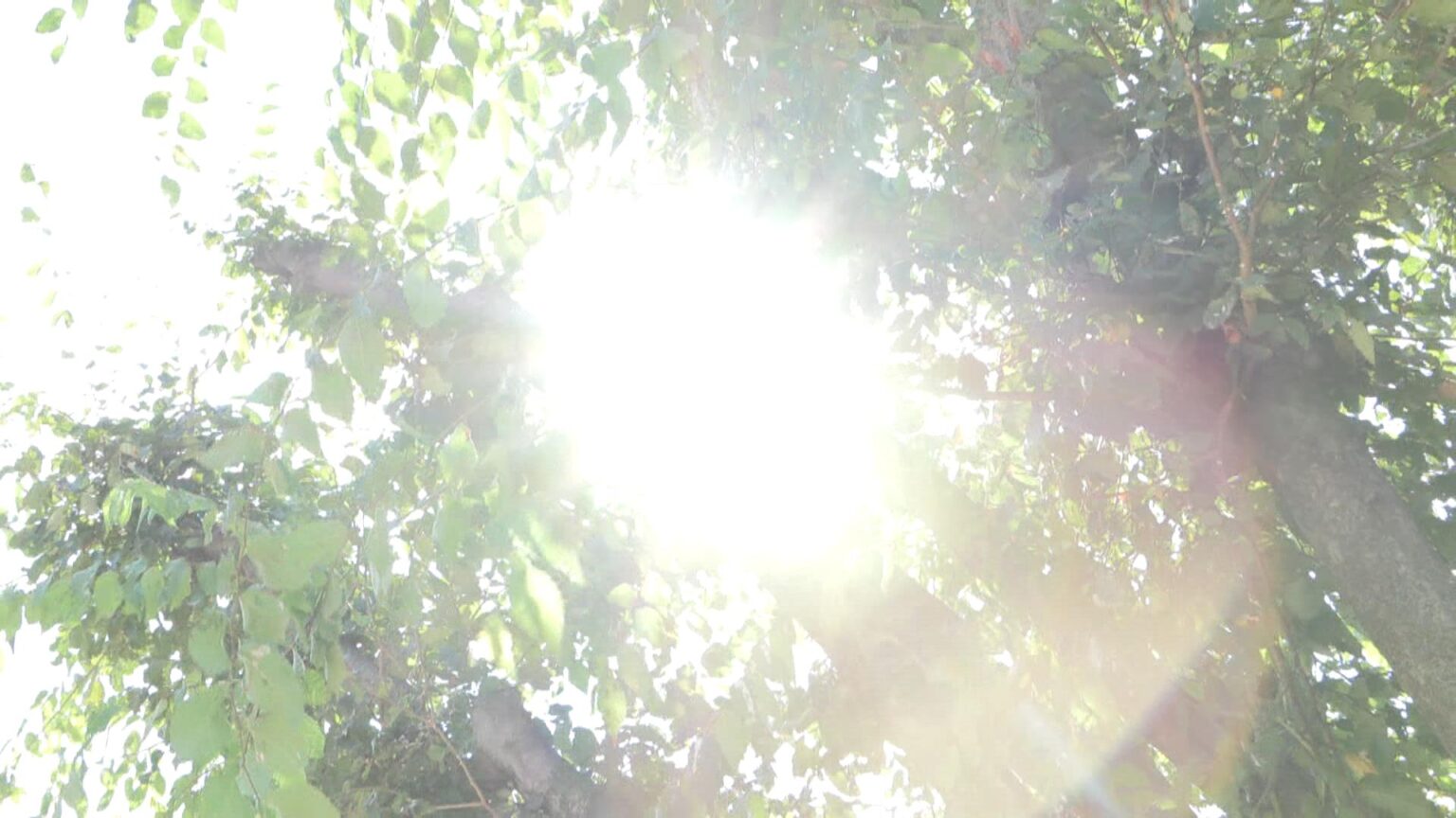 伊賀市で37.8℃ 3日も三重県内・各地で猛暑（三重テレビ放送） - Yahoo!ニュース