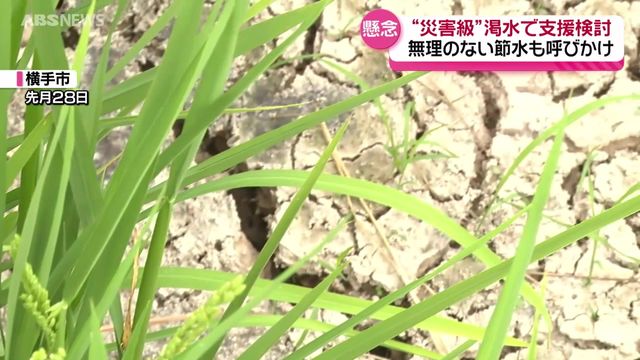 ”災害級”の渇水…雨量が極端に少ない状態続く県内 農家や土地改良区への支援を検討 秋田 （ABS秋田放送） - Yahoo!ニュース - Yahoo!ニュース