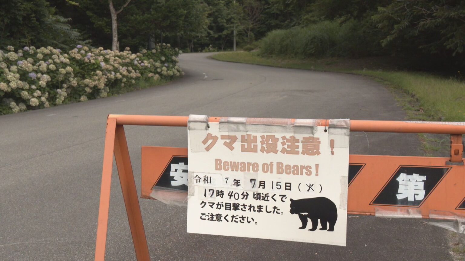 花火大会で前代未聞のクマ対策 打ち上げ場所周辺で目撃相次ぐ… 近づいてこないよう花火師が爆竹を鳴らすなど警戒　岐阜・高山市（CBCテレビ） - Yahoo!ニュース