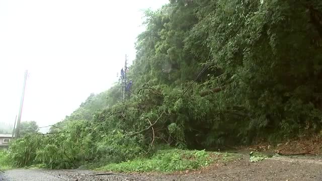 夕方にかけ内陸で大雨のおそれも 土砂災害などに注意・警戒を 滝沢市で倒木被害も 岩手県（岩手めんこいテレビ） - Yahoo!ニュース - Yahoo!ニュース