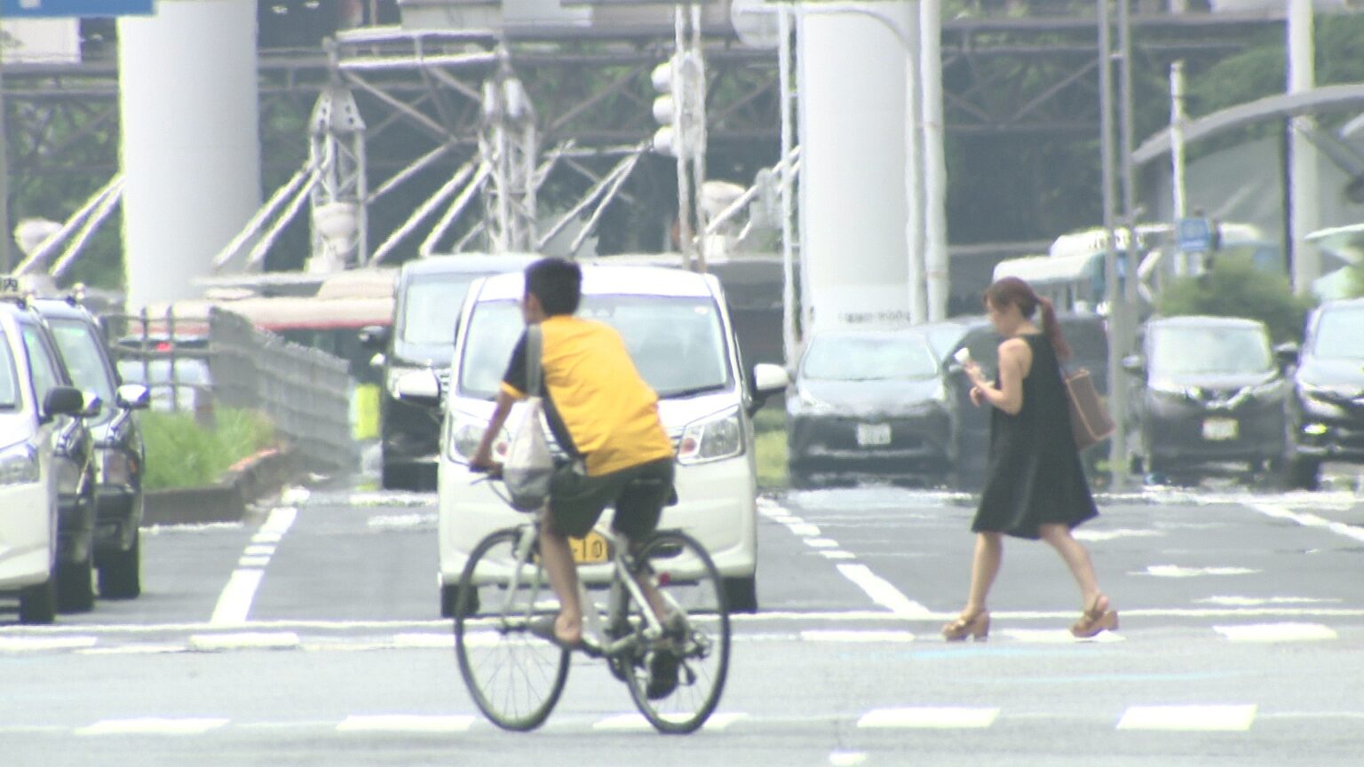 千葉県内で今年初の38度超え！船橋など3地点で観測 連日続く危険な暑さ（チバテレ） - Yahoo!ニュース - Yahoo!ニュース