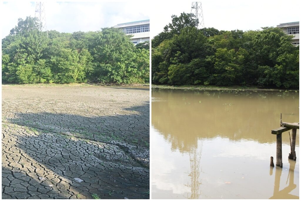 島根・鳥取で24日ぶりにまとまった雨 24時間降水量、波佐（浜田）113.0ミリ 浜田の市道で全面通行止め、22日まで 10～12日にかけ再び降水か（山陰中央新報） - Yahoo!ニュース - Yahoo!ニュース