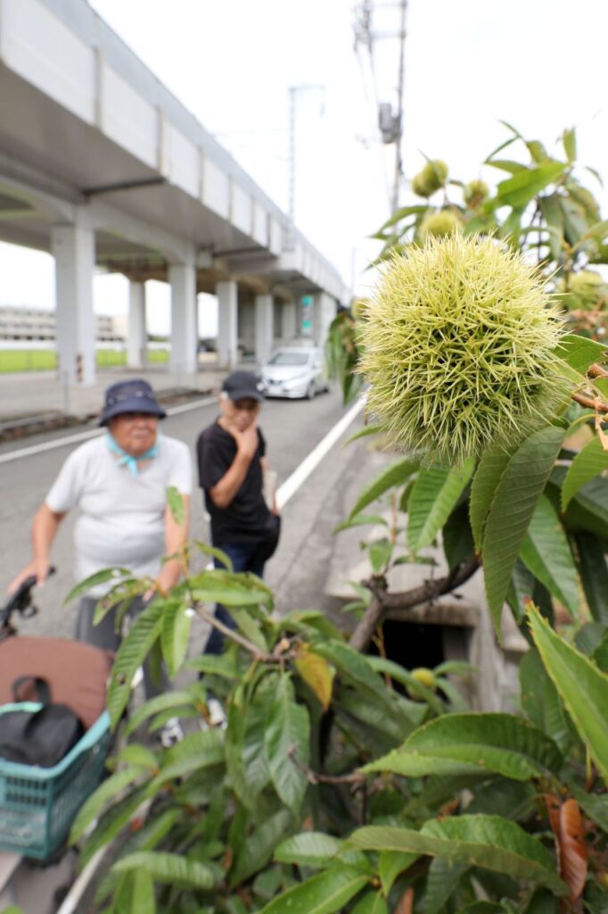 立秋 雨の影響で朝から蒸し暑く　岡山県内5地点で熱帯夜観測（山陽新聞デジタル） - Yahoo!ニュース