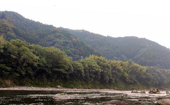 四万十川でトモ釣りで最大27.5cm頭に34尾を手中【高知】深場攻略で25cm超が連発