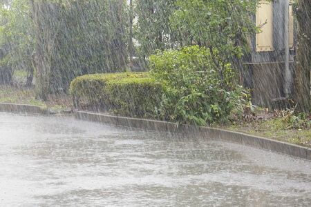佐賀県内、8月9日からの3連休で大雨の恐れ 特に10日は降水量が増える予想 土砂災害など警戒（佐賀新聞） - Yahoo!ニュース - Yahoo!ニュース