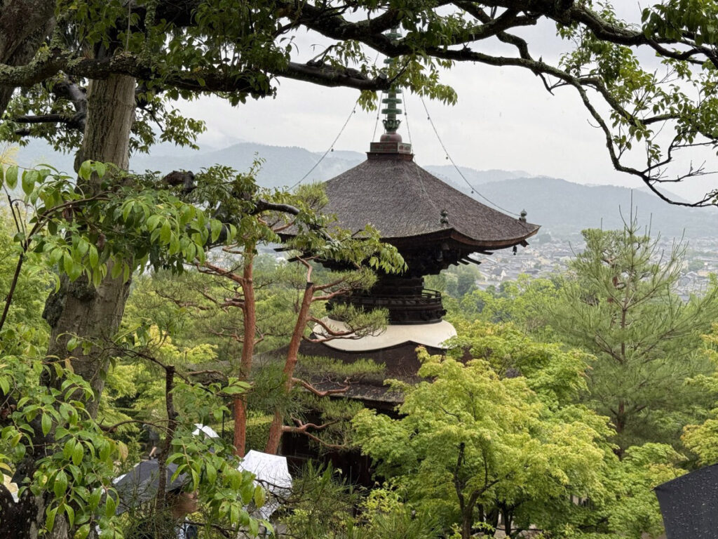 そうだ 京都、行こう。JR東海のCMに登場する京都の美食と寺社仏閣をめぐる旅へ（食楽web） - Yahoo!ニュース