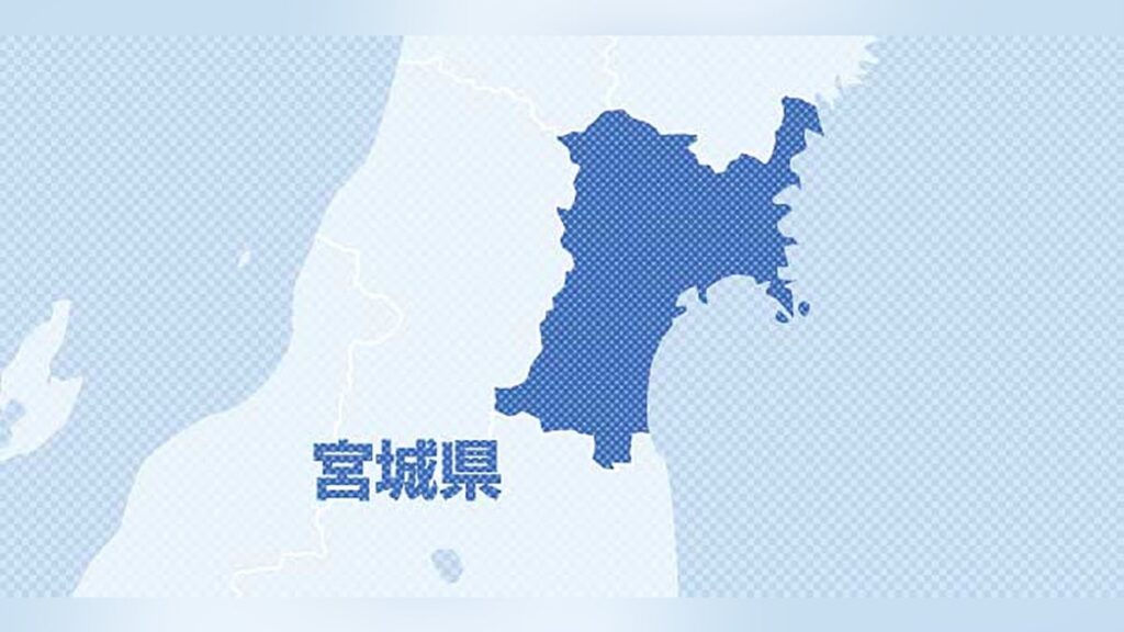 乗用車と衝突したクマ、森林に立ち去る…宮城県内でクマの目撃相次ぐ - 読売新聞オンライン