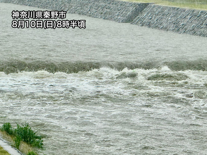 ウェザーニュース