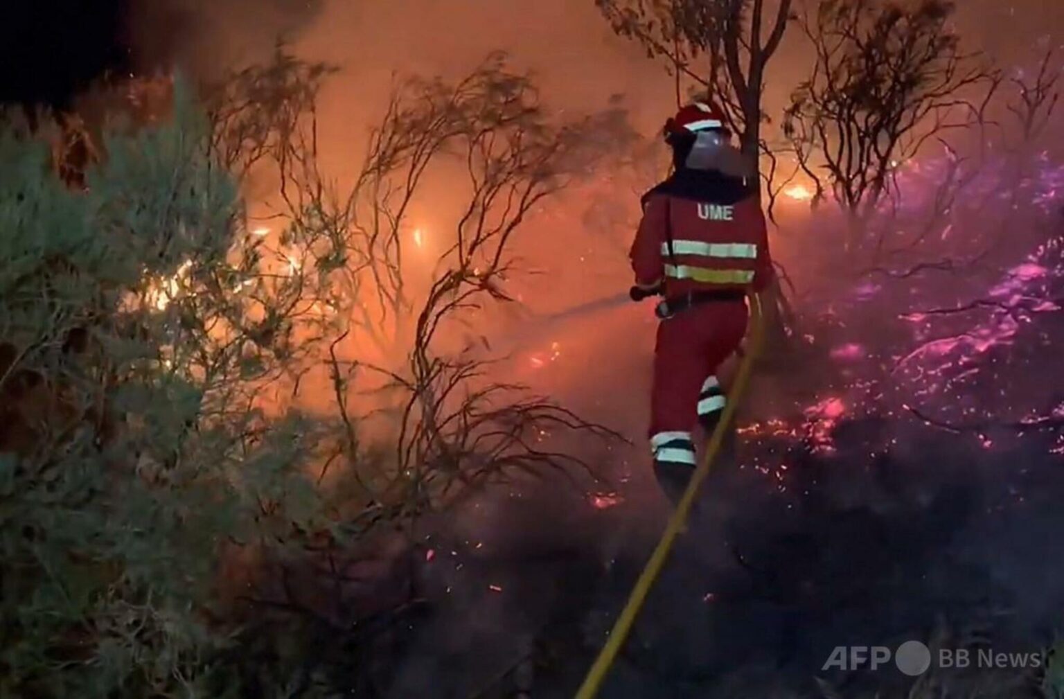 スペイン北西部で山火事 1,000人以上が避難（ＡＦＰ＝時事） - Yahoo!ニュース