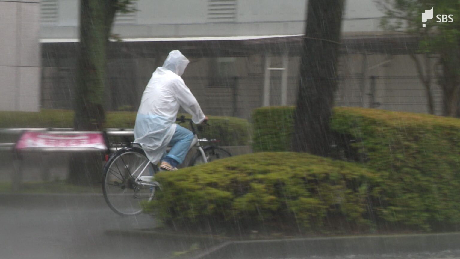 静岡県内は大気の状態が非常に不安定に...御殿場市付近では 8月10日夜「記録的短時間大雨情報」県内目立った被害なし（静岡放送（SBS）） - Yahoo!ニュース