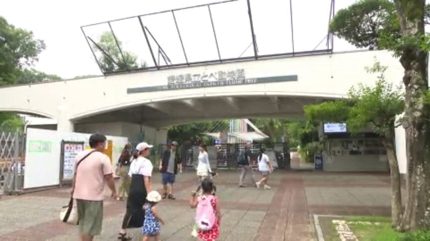 「ライオンを近くで見られてよかった。暑くてバテてた」夏休み中の子どもたちで人気 とべ動物園 愛媛県（あいテレビ） - Yahoo!ニュース