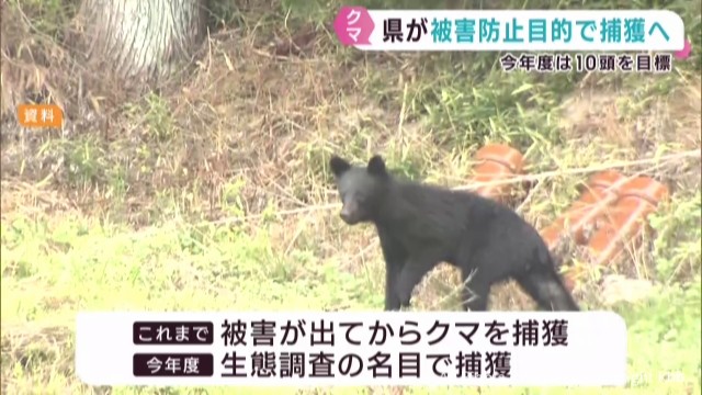 目撃情報が相次ぐクマ 宮城県が管理計画を見直し 被害防止の目的でクマの捕獲へ（khb東日本放送） - Yahoo!ニュース - Yahoo!ニュース