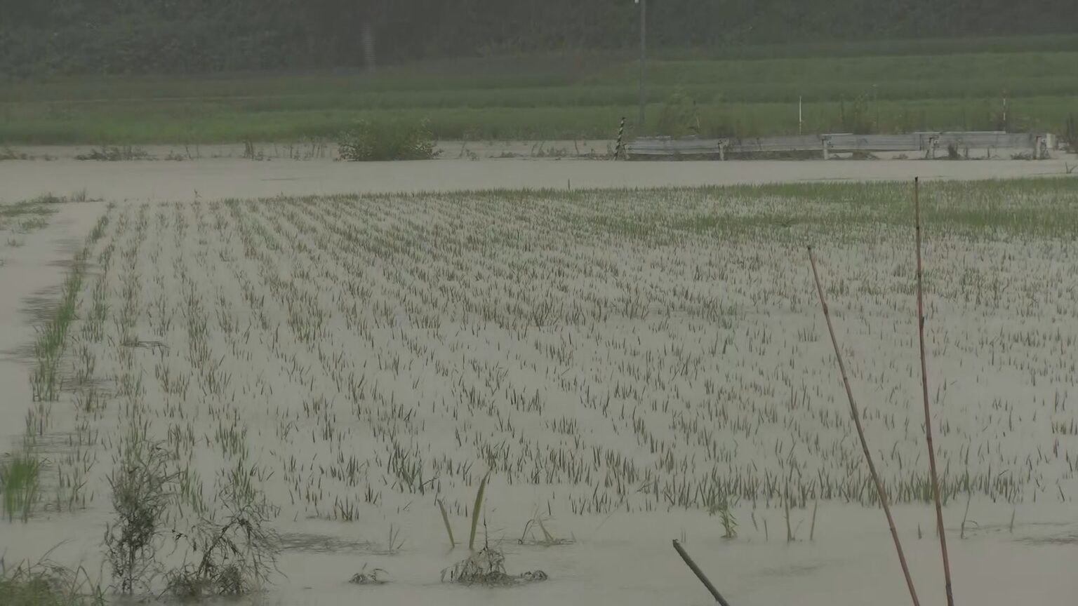 石川・能登地方の記録的大雨 道路の崩落など被害相次ぐ（MRO北陸放送） - Yahoo!ニュース