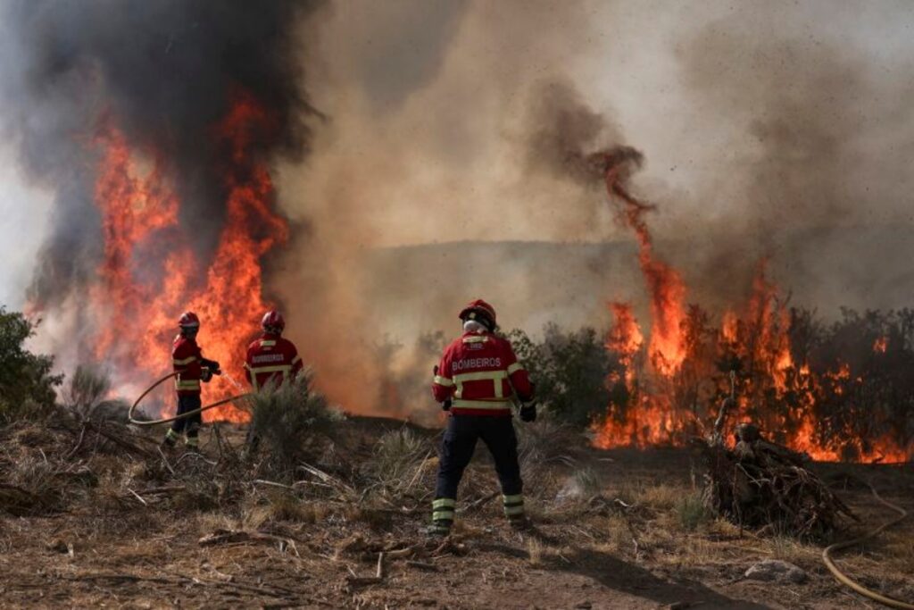 欧州各地で記録的な山火事、市長は「生きたまま焼かれている」と訴え スペインでは４３度越え予想（CNN.co.jp） - Yahoo!ニュース - Yahoo!ニュース