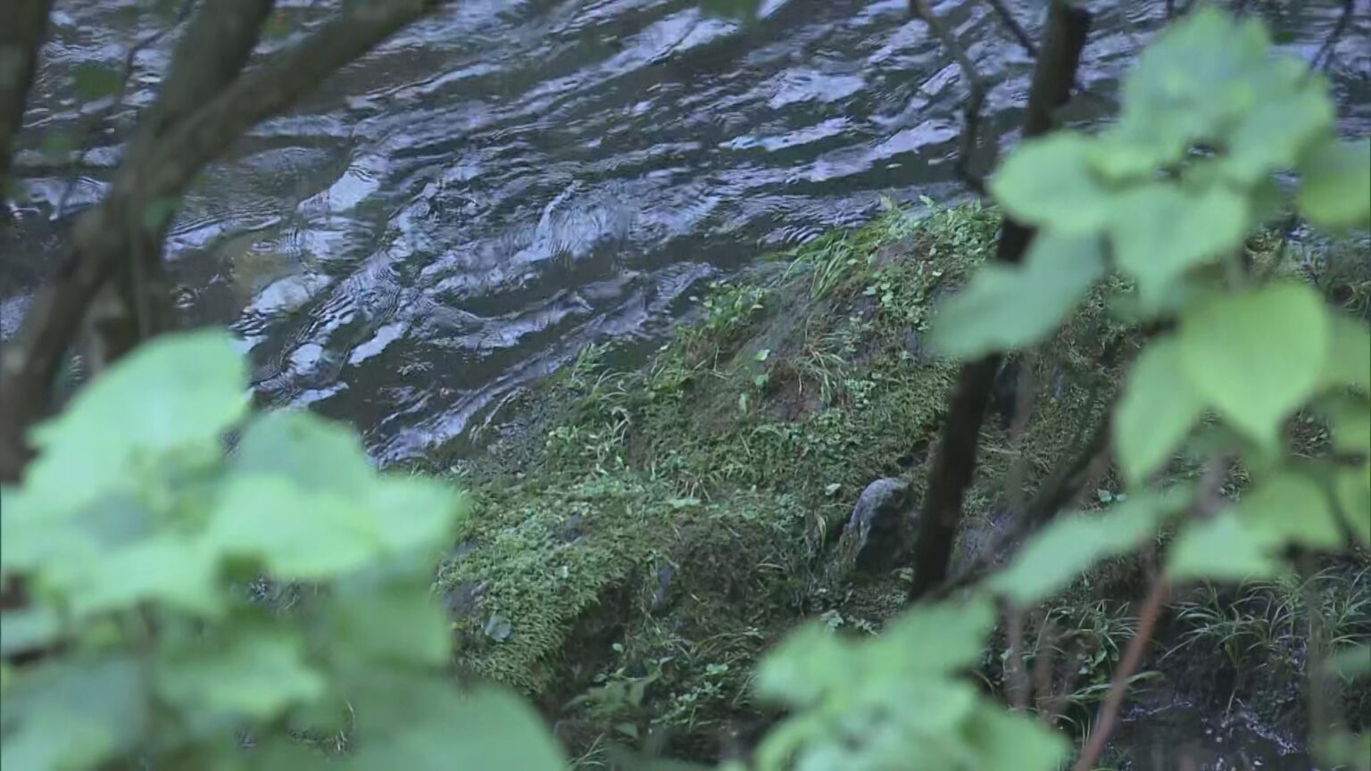 遺体は衣服を身に着けず 腹部あたりに傷… 河川敷に女性の遺体遺棄した疑いで男女2人を逮捕 死因は窒息か 岐阜・本巣市（CBCテレビ）