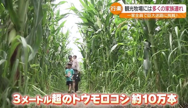 お盆休みも終盤 家族で楽しんだり、懐かしい同級生との再会があったり… 福島県内各地の様子 渋滞予想も（福島中央テレビ） - Yahoo!ニュース - Yahoo!ニュース