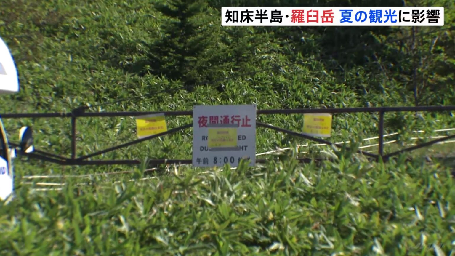夏の観光に影響　北海道知床半島の羅臼岳　クマに襲われ男性死亡で　観光名所・知床五湖や知床連山にむかう登山道はきょう（16日）も閉鎖（TBS NEWS DIG Powered by JNN）