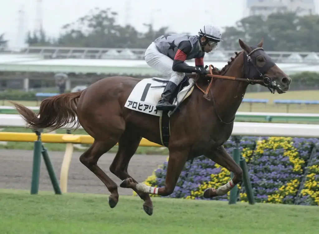 フランスG2ギヨームドルナノ賞　アロヒアリイ逃げ切ってV - スポニチ Sponichi Annex ギャンブル