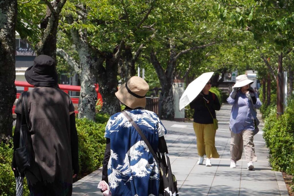 神奈川で、最高気温の記録更新が相次ぐ 歴代最高も塗り替え（カナロコ by 神奈川新聞） - Yahoo!ニュース - Yahoo!ニュース