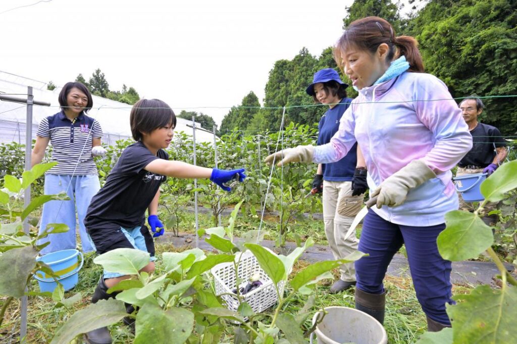 《連載:鉄路とまち TX20年》(2) 若年層移住で人口増 コミュニティー形成鍵（茨城新聞クロスアイ） - Yahoo!ニュース - Yahoo!ニュース