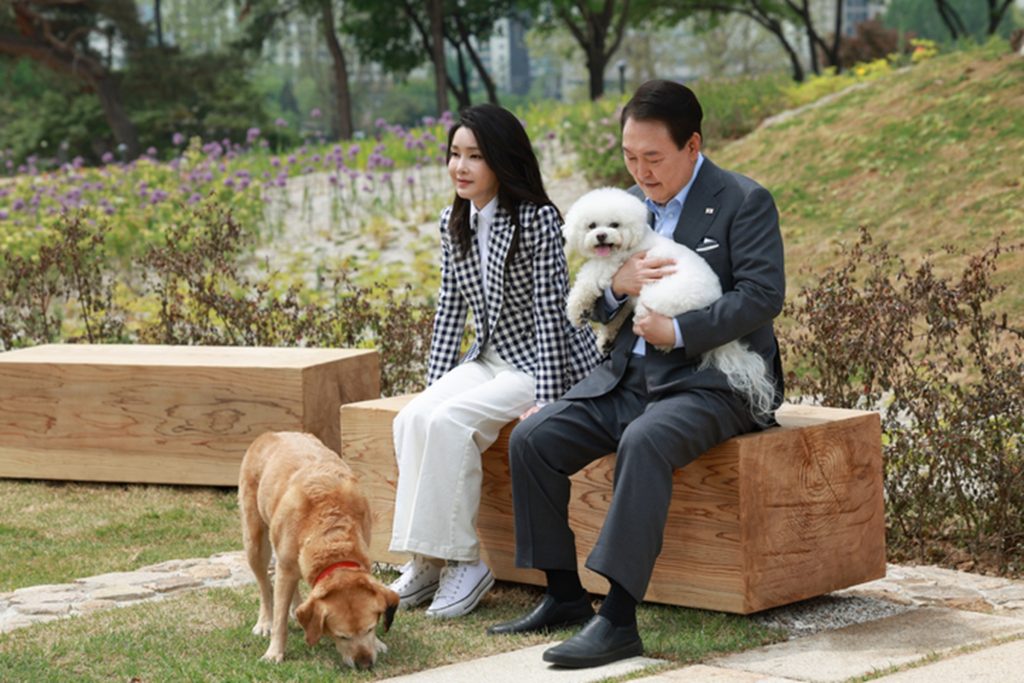 韓国前大統領夫妻の逮捕後、自宅に残された11匹のペット…世話は誰が？（KOREA WAVE） - Yahoo!ニュース - Yahoo!ニュース