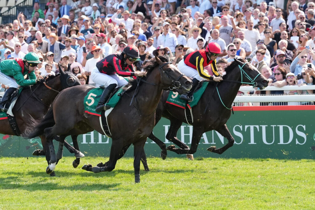 【ジャックルマロワ賞】ＪＲＡ海外発売馬券の売り上げは１３億３１５６万１７００円 前回発売の２２年から２１・１％増（馬トク報知） - Yahoo!ニュース