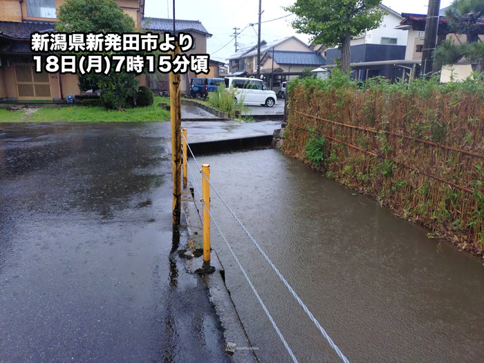 ウェザーニュース