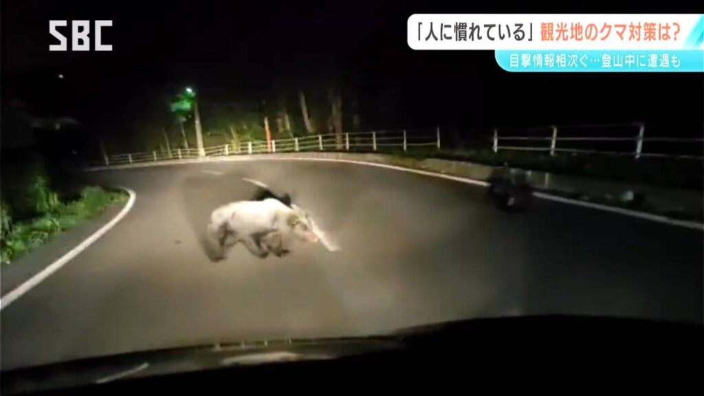 長野県内の山沿いの観光地や北アルプスなど クマの目撃情報が相次ぐ 北海道での事故受け警戒感が高まる（ＳＢＣ信越放送） - Yahoo!ニュース - Yahoo!ニュース