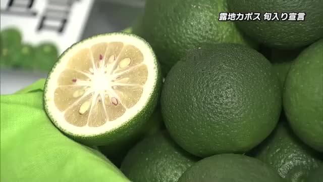 「食材の味を引き立てる」大分の特産品・露地カボス旬入り 約5700トン収穫見込む （TOSテレビ大分） - Yahoo!ニュース - Yahoo!ニュース