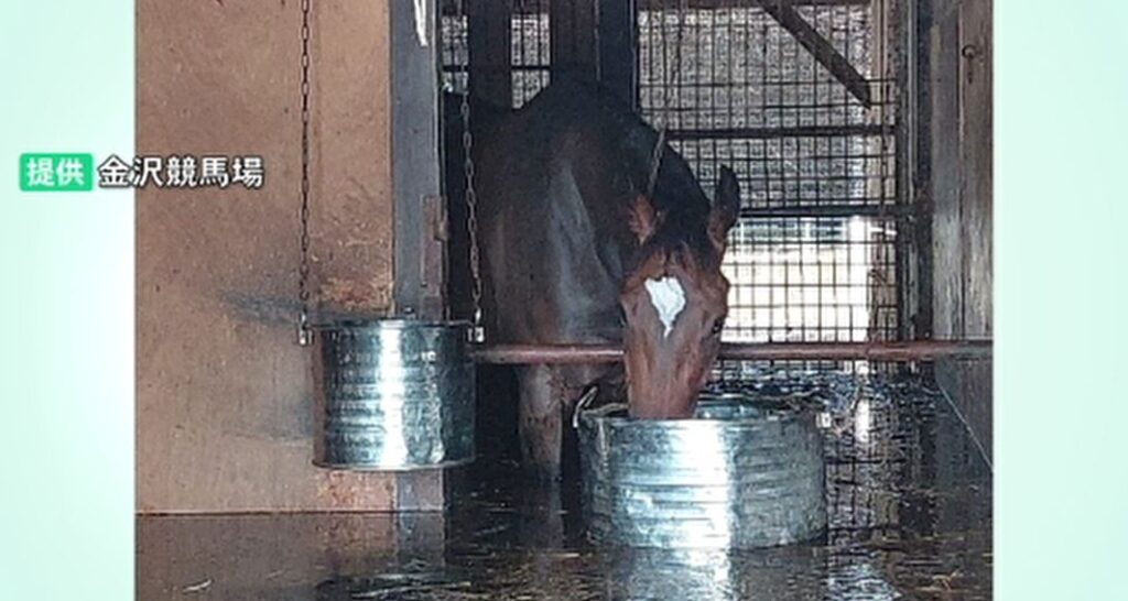 金沢競馬場の大規模浸水で石川県が競走馬の避難計画を検討へ 金沢市は“内水氾濫”対策に大型ポンプ場の設置検討へ（MRO北陸放送） - Yahoo!ニュース
