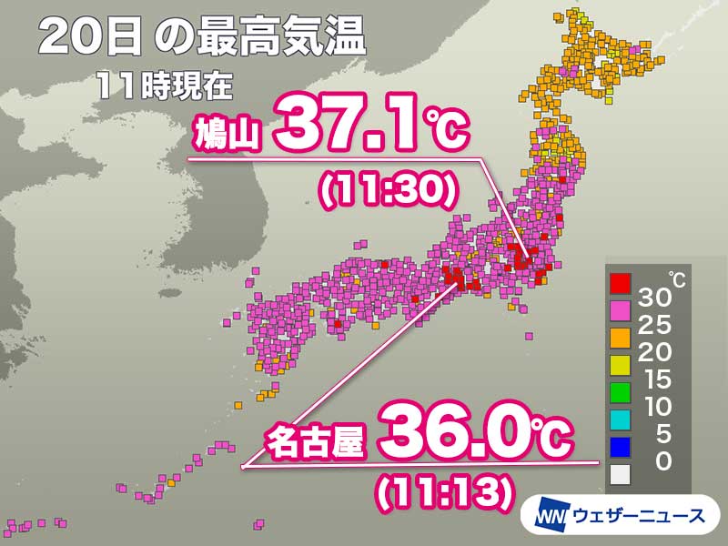 ウェザーニュース