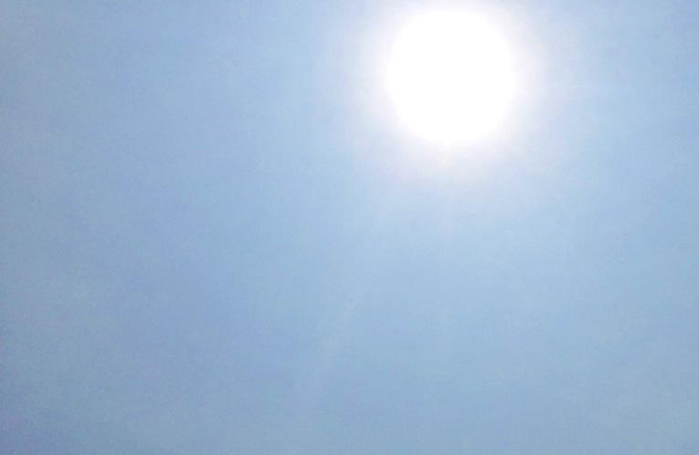 【速報】今夏の千葉最高気温更新、市原牛久38・8度 船橋38・3度 夕方以降も熱中症に厳重警戒を（千葉日報オンライン） - Yahoo!ニュース - Yahoo!ニュース