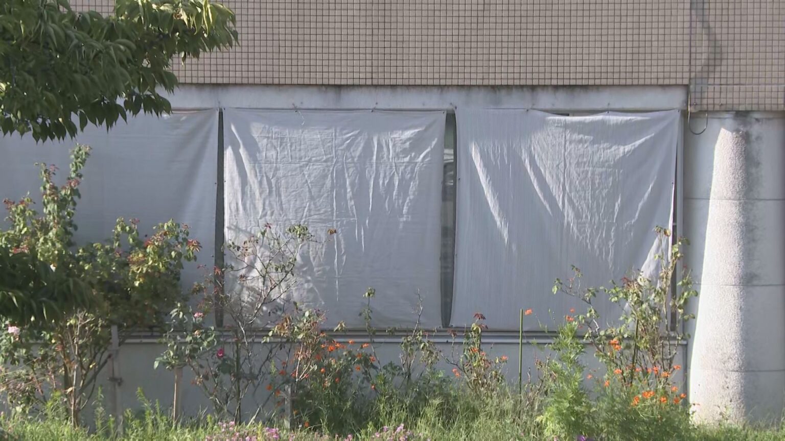 【速報】介護施設で90代男性が死亡 別の入所者の80代男を殺人容疑で逮捕へ 石川・七尾市（MRO北陸放送） - Yahoo!ニュース