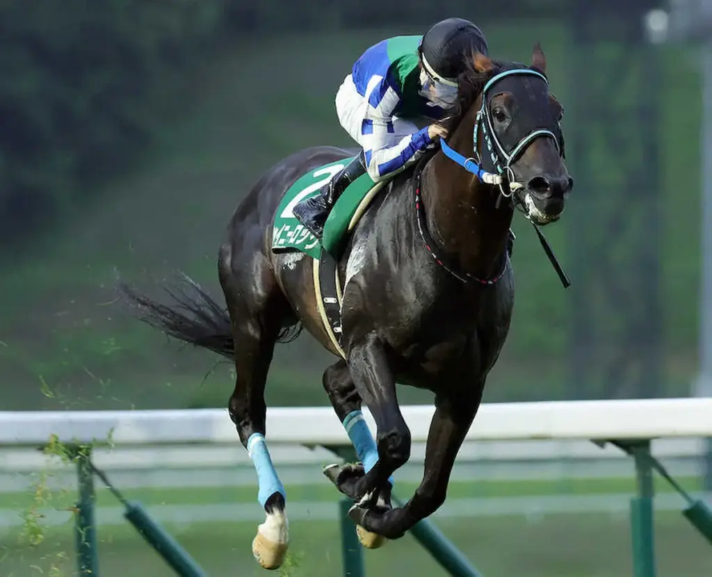 【盛岡10R・岩手県知事杯OROカップ】シャイニーロック　地元連勝だ! - スポニチ Sponichi Annex ギャンブル