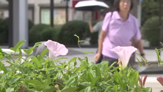 残暑厳しい富山県、日中の予想気温は35度に 高気圧に覆われた県内各地で熱中症リスク高まる（富山テレビ） - Yahoo!ニュース - Yahoo!ニュース