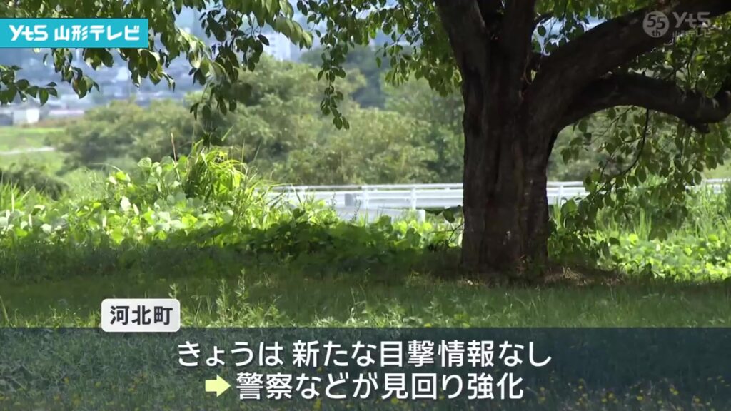 【山形】山形県河北町でクマの目撃情報が相次ぎ警戒続く（YTS山形テレビ） - Yahoo!ニュース
